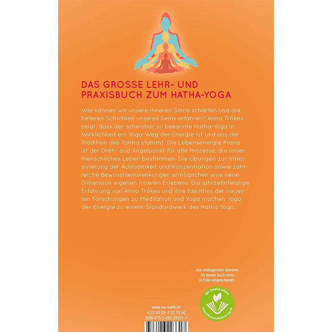 buch yoga der energie anna troekes