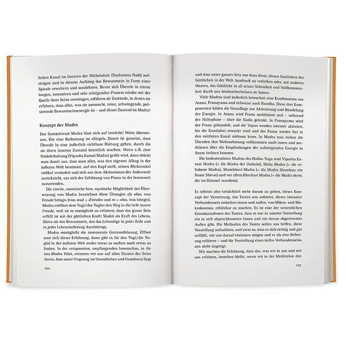 buch yoga der energie anna troekes