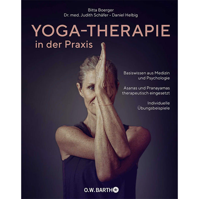 buch yoga therapie britta boerger