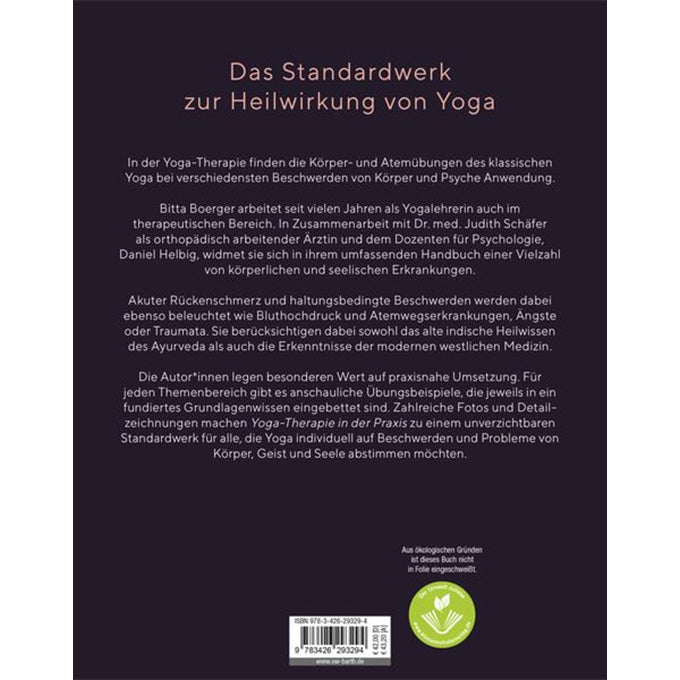 buch yoga therapie britta boerger