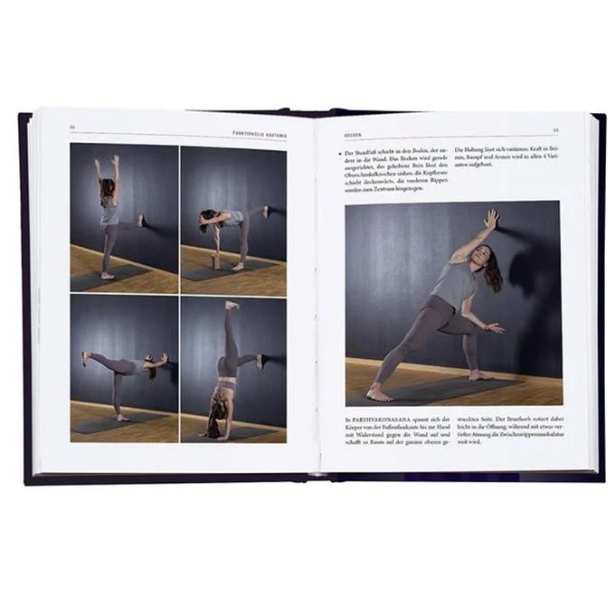 buch yoga therapie britta boerger