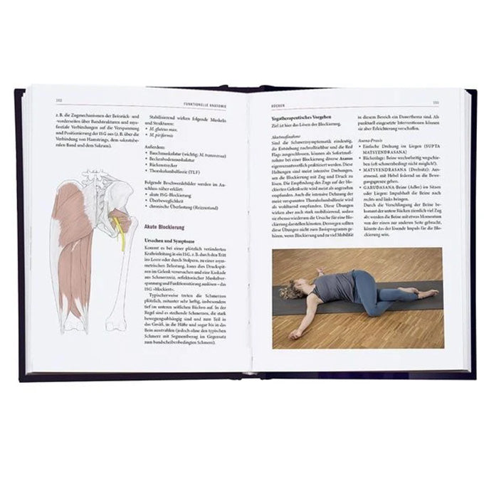 buch yoga therapie britta boerger