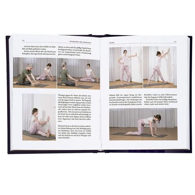 buch yoga therapie britta boerger